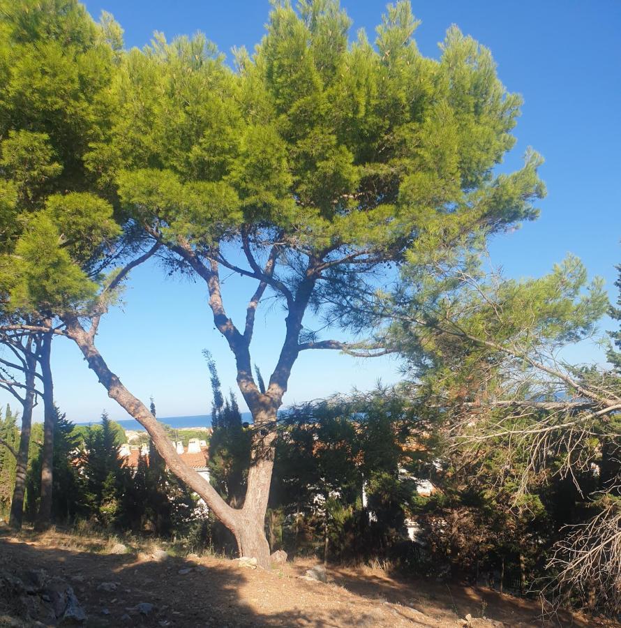 T2 Vue Mer Avec Parking Prive Saint-Pierre-la-Mer  Экстерьер фото